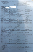 Đáp án đề thi tốt nghiệp THPT mã đề 212 môn Sinh năm 2020