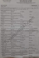 Đáp án đề thi môn Hóa mã đề 216 tốt nghiệp THPT năm 2020