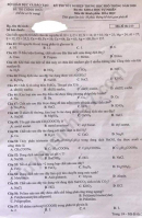 Đáp án đề thi tốt nghiệp THPT môn Hóa năm 2020 mã đề 213