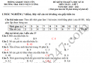 Đề thi giữa kì 2 lớp 7 môn Toán THCS Việt Cường 2021
