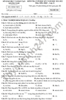 Đề thi kì 1 môn Hóa lớp 11 2021 - Sở GD Quảng Nam