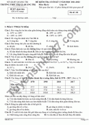 Đề kiểm tra học kì 1 lớp 10 môn Địa 2021 - THPT TX Quảng Trị