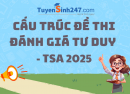 Cấu trúc đề thi Đánh giá tư duy - TSA 2025