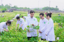 Thông tin tuyển sinh Phân hiệu Đại học Nông Lâm TPHCM tại Gia Lai năm 2025