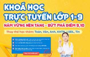 Khoá học lớp 1-9