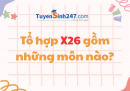 Tổ hợp X26 gồm những môn nào? Ngành và trường xét tuyển X26