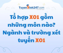 Tổ hợp X01 gồm những môn nào? Ngành và trường xét tuyển X01