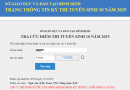 Đã có điểm thi vào lớp 10 Bình Định năm 2025