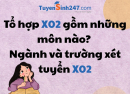 Tổ hợp X02 gồm những môn nào? Ngành và trường xét tuyển X02