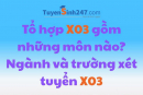 Tổ hợp X03 gồm những môn nào? Ngành và trường xét tuyển X03