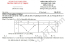 Đề giữa kì 1 lớp 12 môn Toán 2025 - THPT Lý Tự Trọng
