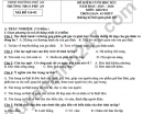 Đề thi học kì 1 môn GDCD 6 THCS Phú An 2025 - Có đáp án