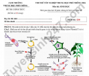 Đề thi thử tốt nghiệp THPT 2026 môn Sinh - Cụm trường THPT Nghệ An