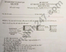 Đề thi thử tốt nghiệp THPT 2026 Sở GDĐT Bắc Ninh - môn Sinh