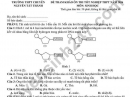 Đề ôn thi tốt nghiệp THPT 2026 môn Sinh - THPT Chuyên Nguyễn Tất Thành