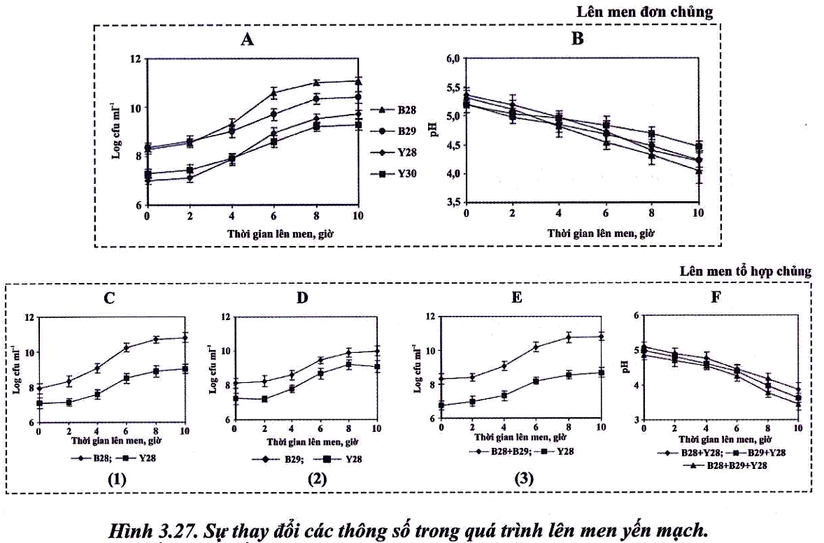 Bir ayol toplarni tepmoqda
