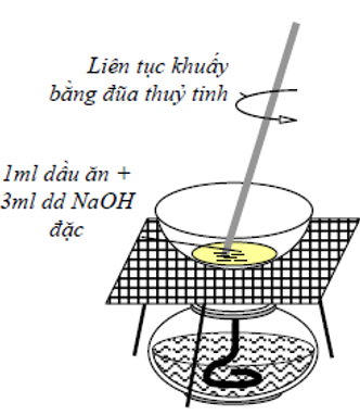 Tiến hành thí nghiệm xà phòng hóa chất béo: Hướng dẫn chi tiết và kết quả