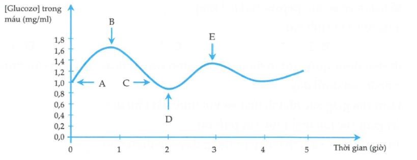 Hàm Lượng Glucose Trong Máu Người: Hiểu Rõ, Kiểm Soát Tốt Sức Khỏe