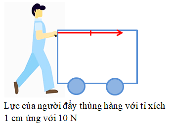 Độ Lớn của Lực: Khái Niệm, Công Thức và Ứng Dụng Thực Tiễn