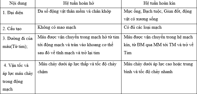 Trong hệ trục tọa độ Oxy: Khám phá toàn diện và ứng dụng thực tế