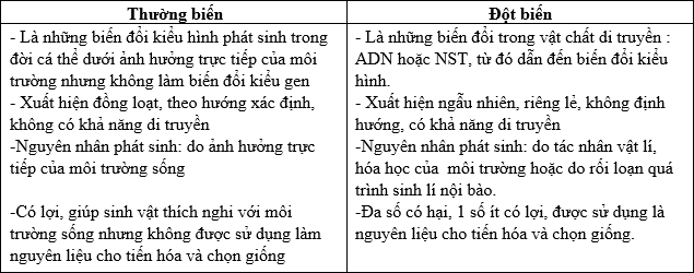 Phân biệt thường biến và đột biến: Khái niệm, Đặc điểm và Ứng dụng