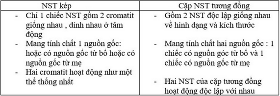 So sánh NST Kép và NST Tương Đồng: Hiểu rõ hơn về Di Truyền Học