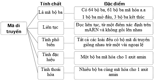 Đặc Điểm của Mã Di Truyền: Khám Phá và Ứng Dụng Quan Trọng