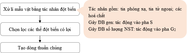 7. Thách thức và rủi ro của phương pháp gây đột biến