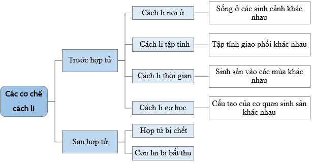 Cách Li Trước Hợp Tử: Khái Niệm và Các Dạng