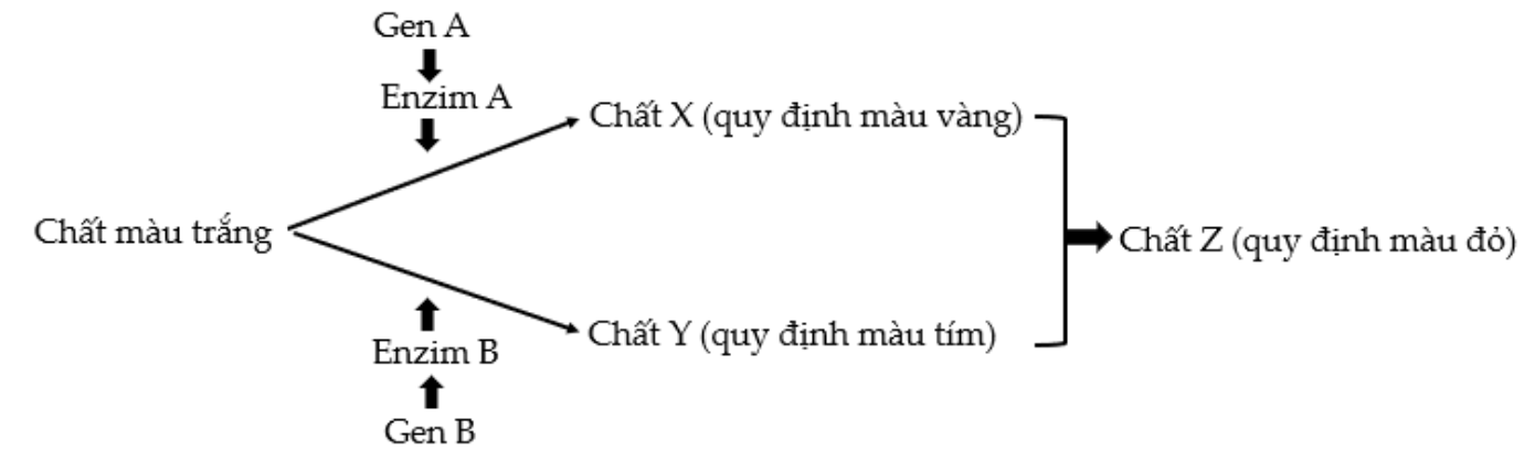 Ở Một Loài Thực Vật: Khám Phá Bí Ẩn Di Truyền và Phát Triển