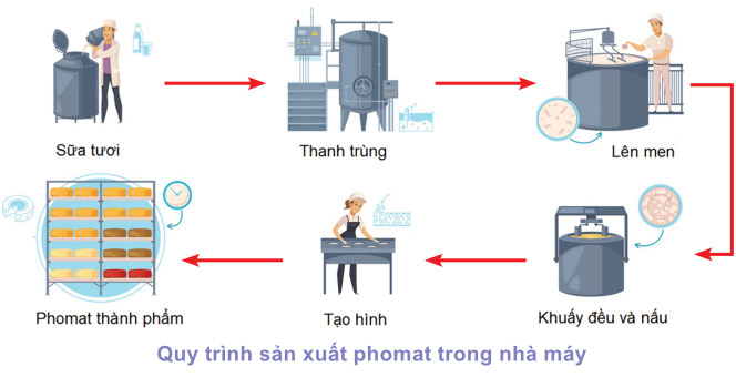 Tạo Hình và Tách Phần Lỏng