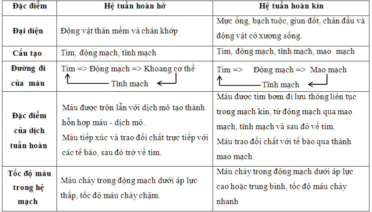 Đặc Điểm của Hạt Trần: Khám Phá Những Điều Thú Vị về Thực Vật Hạt Trần