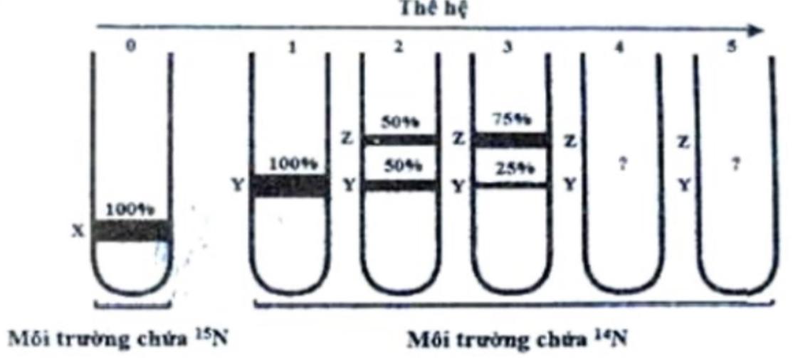 Mô hình hạ tầng khóa công khai  WhiteHatvn