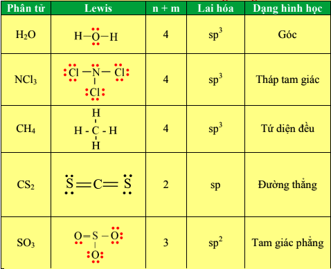 Cho các phân tử sau: H2O, NCl3, CH4, CS2, SO3