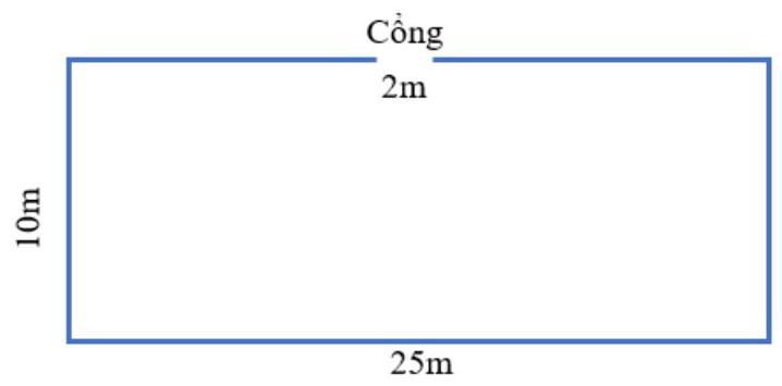 Bác Minh và Mảnh Vườn Hình Chữ Nhật: Khám Phá Không Gian Xanh