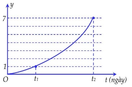 Nguy Cơ Và An Toàn Khi Sử Dụng Polonium-210