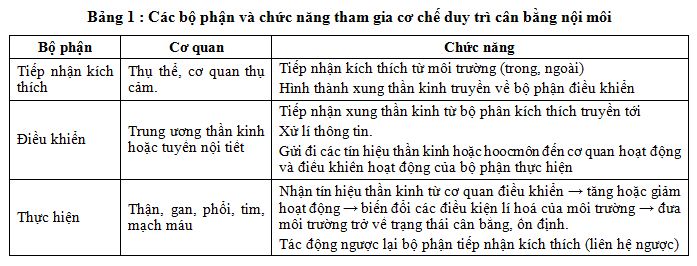 3. Cơ chế hoạt động của thận