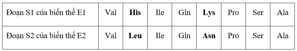 Nghiên cứu enzyme E ở hai loài trong cùng một chi, người ta xác định được hai biến thể enzyme E1 ...