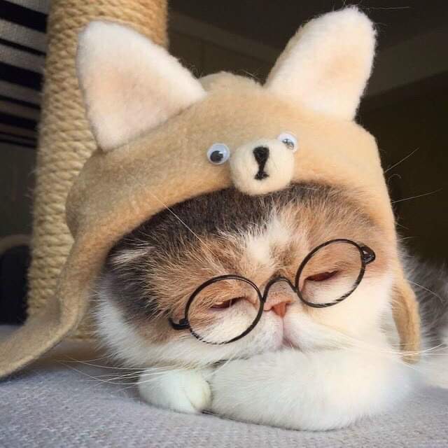 quynhthuy231