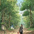 phanminhtri247