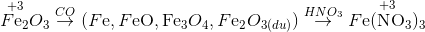 {\mathop {F{\rm{e_{2}}}}\limits^{ + 3} }{O_3}\overset{CO}{\rightarrow}(F{\rm{e}},F{\rm{eO, F}}{{\rm{e}}_3}{O_4},F{{\rm{e}}_2}{O_{3(du)}})\overset{HNO_{3}}{\rightarrow}\mathop {F{\rm{e(N}}{{\rm{O}}_3}{)_3}}\limits^{ + 3}