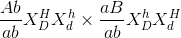 \frac{Ab}{ab} X_{D}^{H}X_{d}^{h}\times \frac{aB}{ab} X_{D}^{h}X_{d}^{H}
