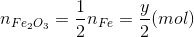 {n_{F{e_2}{O_3}}} = {1 \over 2}{n_{Fe}} = {y \over 2}(mol)