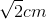 \sqrt{2}cm