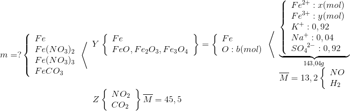 m = ?\left\{ \begin{array}{l} Fe\\ Fe{(N{O_3})_2}\\ Fe{(N{O_3})_3}\\ FeC{O_3} \end{array} \right.\left\langle \begin{array}{l} Y\left. {\left\{ \begin{array}{l} Fe\\ FeO,F{e_2}{O_3},F{e_3}{O_4} \end{array} \right.} \right\} = \left\{ \begin{array}{l} Fe\\ O:b(mol) \end{array} \right.\left\langle \begin{array}{l} \underbrace {\left\{ \begin{array}{l} F{e^{2 + }}:x(mol)\\ F{e^{3 + }}:y(mol)\\ {K^ + }:0,92\\ N{a^ + }:0,04\\ S{O_4}^{2 - }:0,92 \end{array} \right.}_{143,04g}\\ \overline M = 13,2\left\{ \begin{array}{l} NO\\ {H_2} \end{array} \right. \end{array} \right.\\ \left. {Z\left\{ \begin{array}{l} N{O_2}\\ C{O_2} \end{array} \right.} \right\}\overline M = 45,5 \end{array} \right.