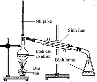 Bài 22 Nhiệt kế  Thang đo nhiệt độ  Study for our future